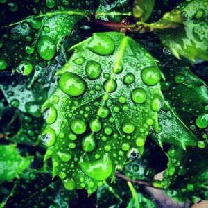 Meet your Posher, Marco